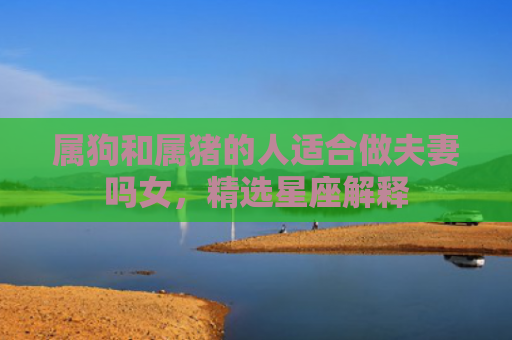 属狗和属猪的人适合做夫妻吗女，精选星座解释