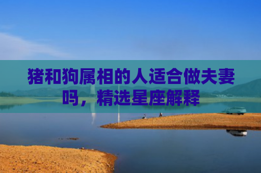 猪和狗属相的人适合做夫妻吗，精选星座解释