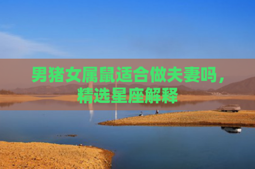 男猪女属鼠适合做夫妻吗，精选星座解释