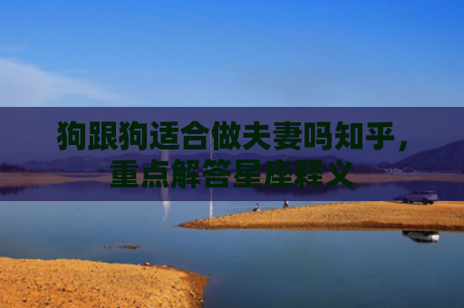 狗跟狗适合做夫妻吗知乎，重点解答星座释义