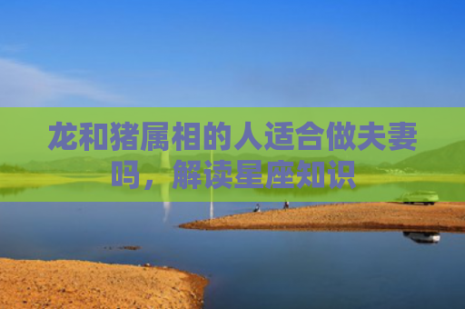 龙和猪属相的人适合做夫妻吗，解读星座知识