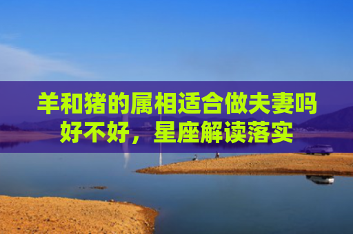 羊和猪的属相适合做夫妻吗好不好，星座解读落实