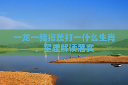 一龙一猪指是打一什么生肖，星座解读落实