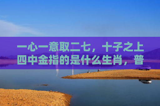 一心一意取二七，十子之上四中金指的是什么生肖，普及星座常识