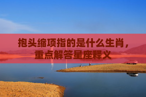 抱头缩项指的是什么生肖，重点解答星座释义