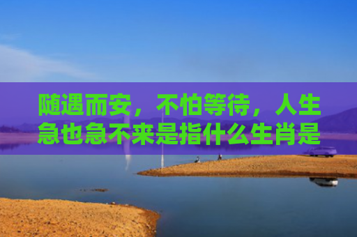 随遇而安，不怕等待，人生急也急不来是指什么生肖是指什么生肖，精选星座解释
