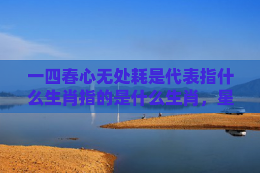 一四春心无处耗是代表指什么生肖指的是什么生肖，星座解读落实