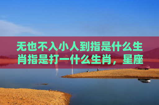 无也不入小人到指是什么生肖指是打一什么生肖，星座解读落实