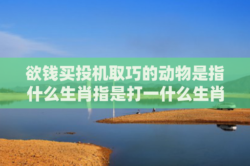 欲钱买投机取巧的动物是指什么生肖指是打一什么生肖，重点解答星座释义