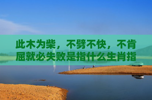 此木为柴，不劈不快，不肯屈就必失败是指什么生肖指的是什么生肖，星座解读落实