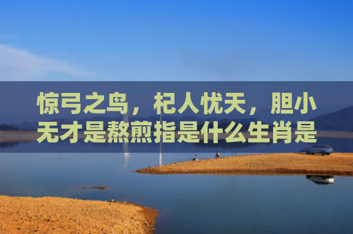 惊弓之鸟，杞人忧天，胆小无才是熬煎指是什么生肖是指什么生肖，重点解答星座释义