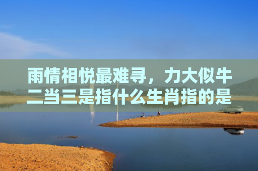 雨情相悦最难寻，力大似牛二当三是指什么生肖指的是什么生肖，重点解答星座释义