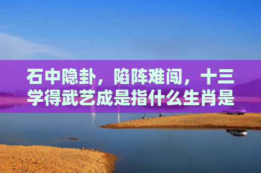 石中隐卦，陷阵难闯，十三学得武艺成是指什么生肖是指什么生肖，经典解答星座知识