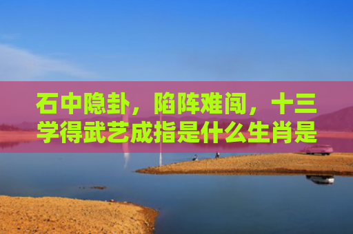 石中隐卦，陷阵难闯，十三学得武艺成指是什么生肖是指什么生肖，经典解答星座知识
