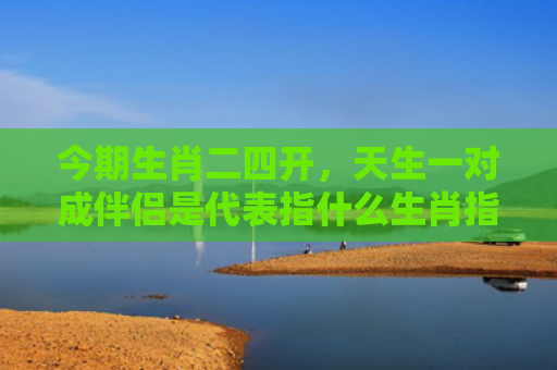 今期生肖二四开，天生一对成伴侣是代表指什么生肖指的是什么生肖，星座解读落实