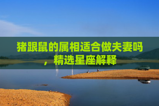 猪跟鼠的属相适合做夫妻吗，精选星座解释