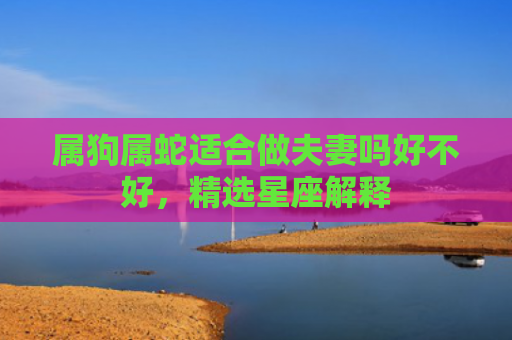属狗属蛇适合做夫妻吗好不好，精选星座解释