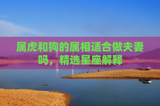 属虎和狗的属相适合做夫妻吗，精选星座解释