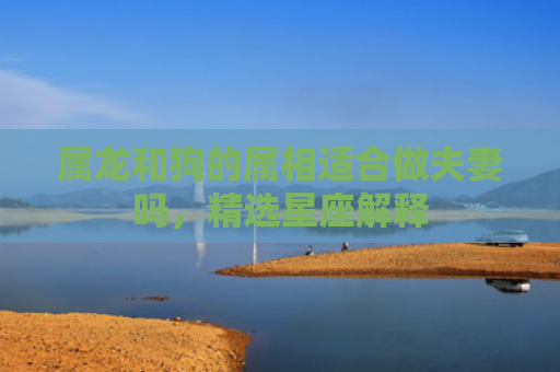 属龙和狗的属相适合做夫妻吗，精选星座解释