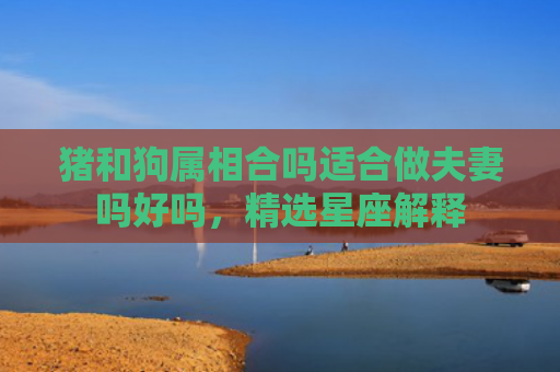 猪和狗属相合吗适合做夫妻吗好吗，精选星座解释