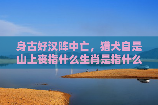 身古好汉阵中亡，猎犬自是山上丧指什么生肖是指什么生肖，精选星座解释
