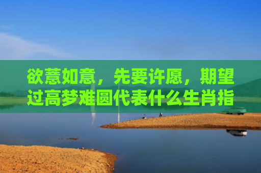 欲薏如意，先要许愿，期望过高梦难圆代表什么生肖指是打一什么生肖，精选星座解释