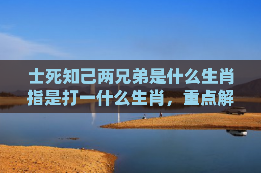 士死知己两兄弟是什么生肖指是打一什么生肖，重点解答星座释义