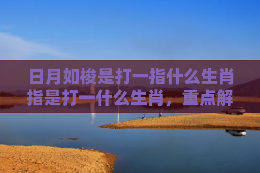 日月如梭是打一指什么生肖指是打一什么生肖，重点解答星座释义