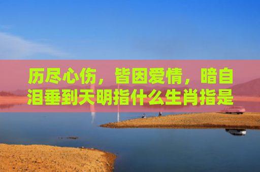 历尽心伤，皆因爱情，暗自泪垂到天明指什么生肖指是打一什么生肖，经典解答星座知识