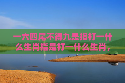 一六四尾不得九是指打一什么生肖指是打一什么生肖，重点解答星座释义