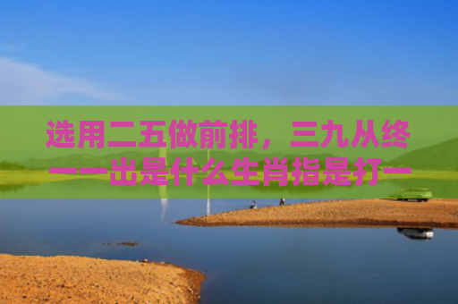选用二五做前排，三九从终一一出是什么生肖指是打一什么生肖，精选星座解释