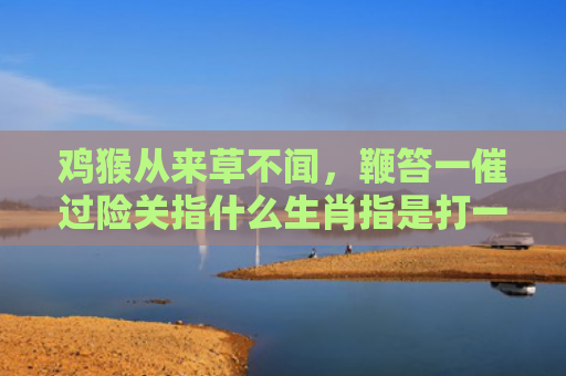 鸡猴从来草不闻，鞭笞一催过险关指什么生肖指是打一什么生肖，精选星座解释