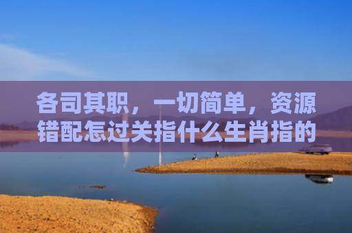 各司其职，一切简单，资源错配怎过关指什么生肖指的是什么生肖，星座解读落实
