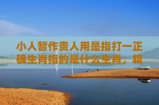 小人暂作贵人用是指打一正确生肖指的是什么生肖，精选星座解释