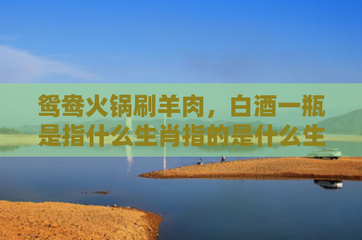 鸳鸯火锅刷羊肉，白酒一瓶是指什么生肖指的是什么生肖，经典解答星座知识