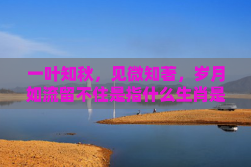 一叶知秋，见微知著，岁月如流留不住是指什么生肖是指什么生肖，精选星座解释