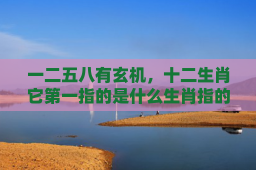 一二五八有玄机，十二生肖它第一指的是什么生肖指的是什么生肖，重点解答星座释义