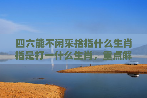 四六能不闲采拾指什么生肖指是打一什么生肖，重点解答星座释义
