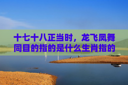 十七十八正当时，龙飞凤舞同目的指的是什么生肖指的是什么生肖，解读星座知识