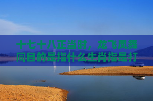 十七十八正当时，龙飞凤舞同目的是指什么生肖指是打一什么生肖，星座解读落实