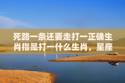 死路一条还要走打一正确生肖指是打一什么生肖，星座解读落实