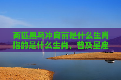 两匹黑马冲向前是什么生肖指的是什么生肖，普及星座常识