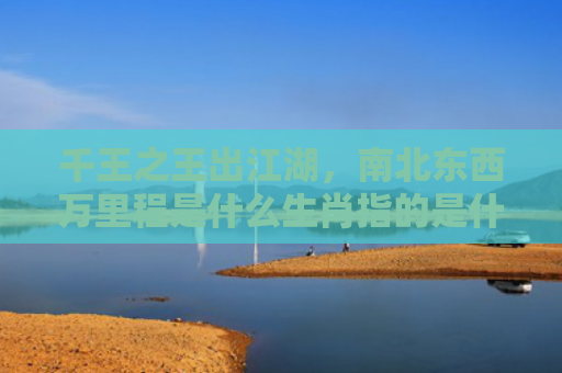 千王之王出江湖，南北东西万里程是什么生肖指的是什么生肖，解读星座知识