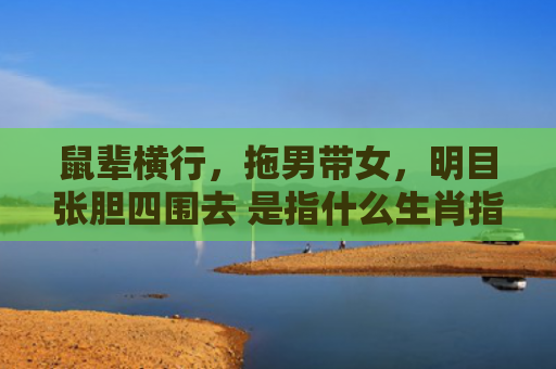 鼠辈横行，拖男带女，明目张胆四围去 是指什么生肖指的是什么生肖，重点解答星座释义