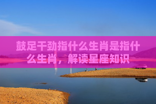 鼓足干劲指什么生肖是指什么生肖，解读星座知识