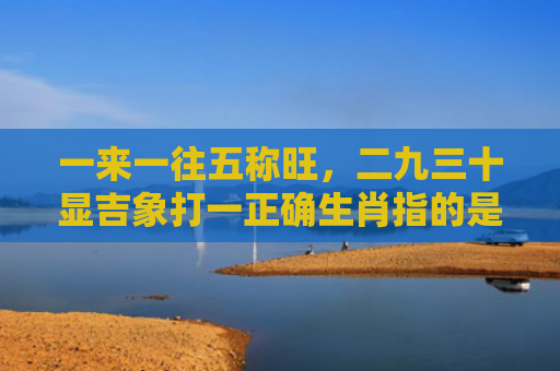 一来一往五称旺，二九三十显吉象打一正确生肖指的是什么生肖，星座解读落实