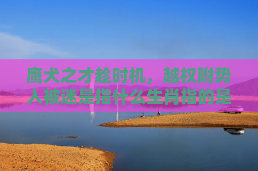 鹰犬之才趁时机，越权附势人被迷是指什么生肖指的是什么生肖，重点解答星座释义