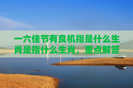 一六佳节有良机指是什么生肖是指什么生肖，重点解答星座释义