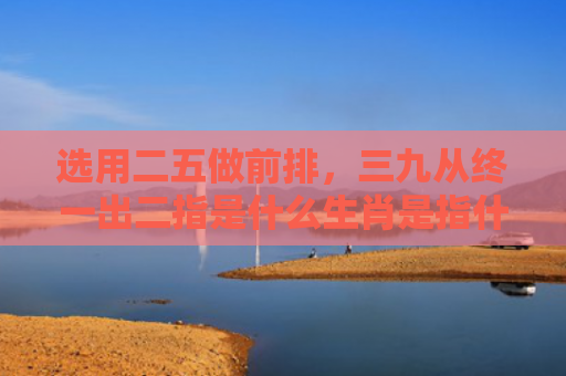 选用二五做前排，三九从终一出二指是什么生肖是指什么生肖，重点解答星座释义