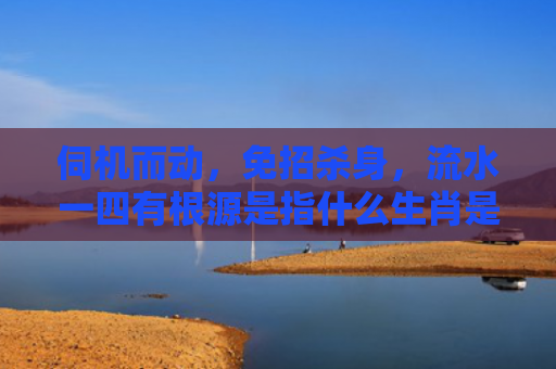伺机而动，免招杀身，流水一四有根源是指什么生肖是指什么生肖，星座解读落实